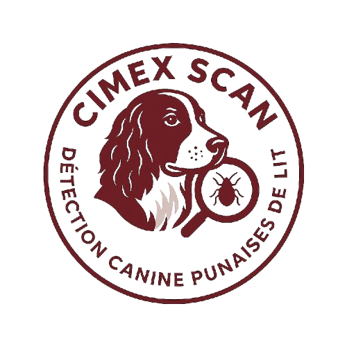 CIMEX SCAN