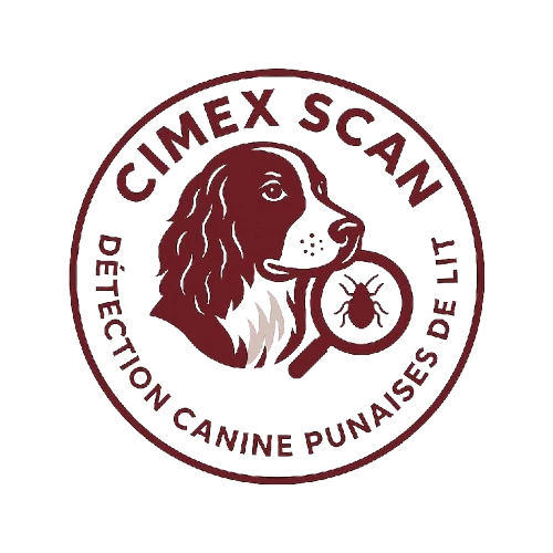 CIMEX SCAN
